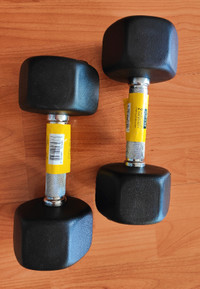 NEW 15lbs Dumbbell weights