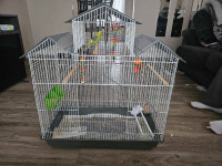 2 budgies and cage.