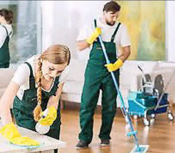 ECO-FRIENDLY HOUSECLEANING SOUTH SHORE535724068659548161
