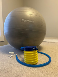 Amazon sitting ball