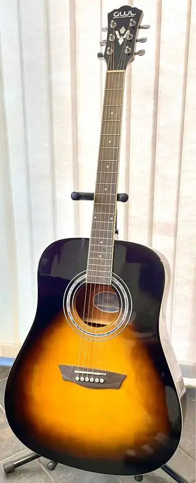 Washburn Limited Acoustic Guitar, View more