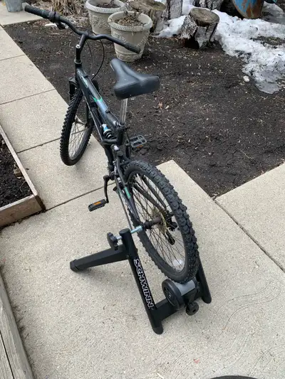 Schwinn Bike Trainer $39.99, View more