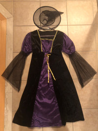 Enchanted Sorceress Costume 