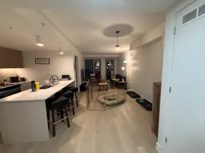 Lease Transfer 3 1/2 Downtown