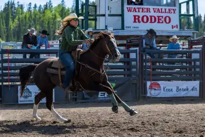 1D barrel horse , View more