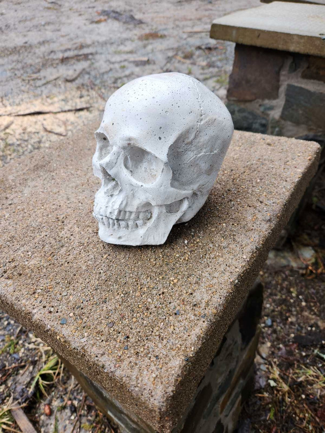 Concrete skull  in Arts & Collectibles in Yarmouth