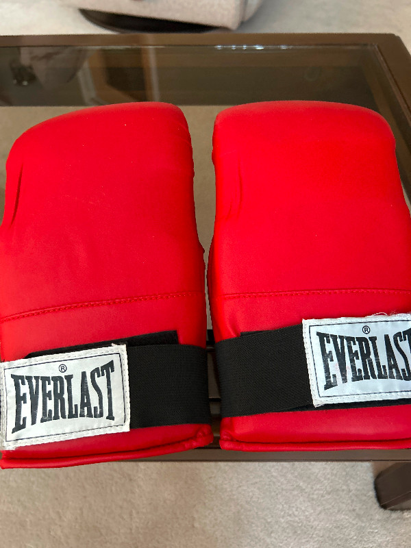 Everlast Boxing  Cardio  Fitness Gloves Red. in Exercise Equipment in Edmonton - Image 3