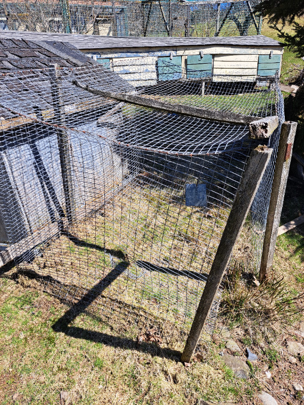 Heavy Galvanized Wire Cage in Livestock in Bridgewater