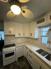 Kitchen Cabinets Big SALE on Original Maplewood!!