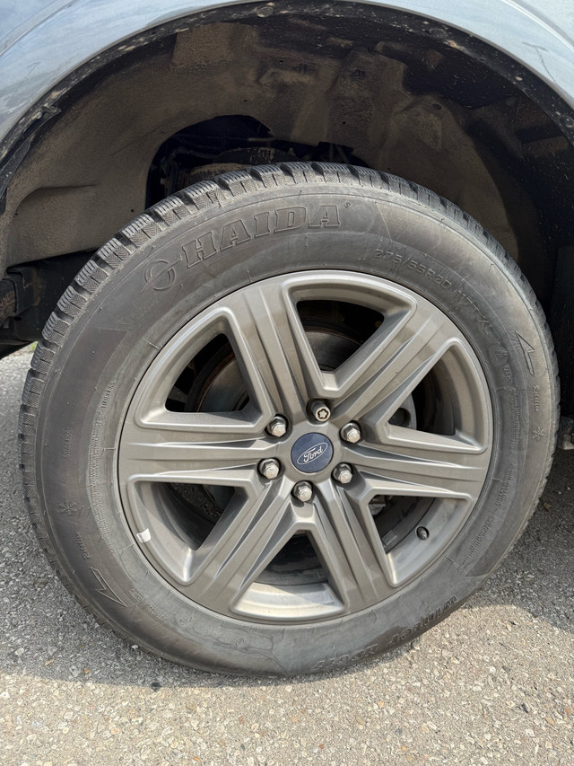2020 Ford F-150 in Cars & Trucks in Mississauga / Peel Region - Image 4