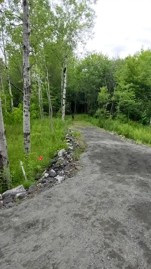 ️ Escape to Nature at Tait’s Island Retreat — Convenient, Priv in Activities & Groups in Muskoka - Image 7