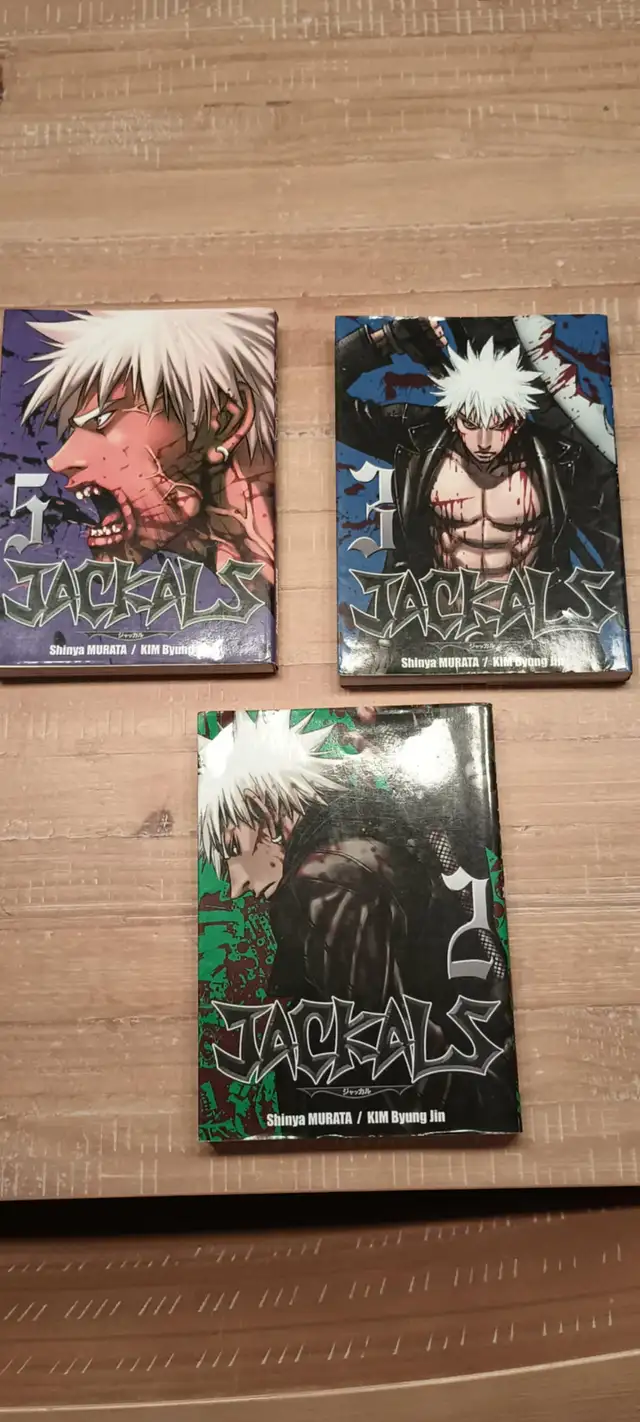 mangas, livre jeunesse in Children & Young Adult in Longueuil / South Shore - Image 6