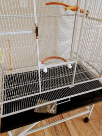 Large Bird Cage with small bar spacing