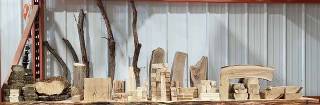 Wood turning blanks (4 local fruit species available!!!!) in Hobbies & Crafts in Winnipeg - Image 3