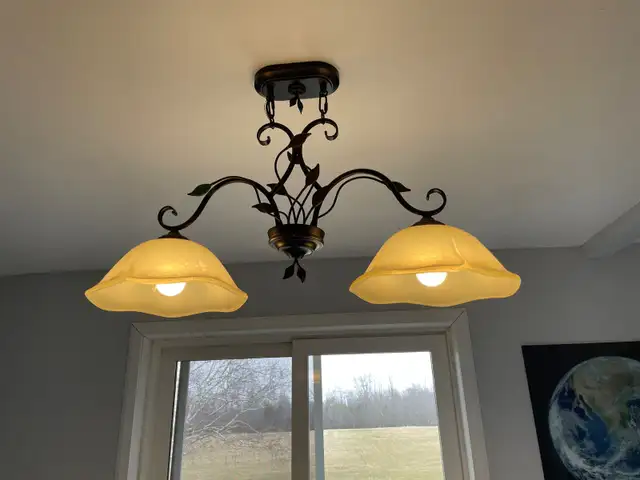 Light fixture in Indoor Lighting & Fans in Belleville - Image 3