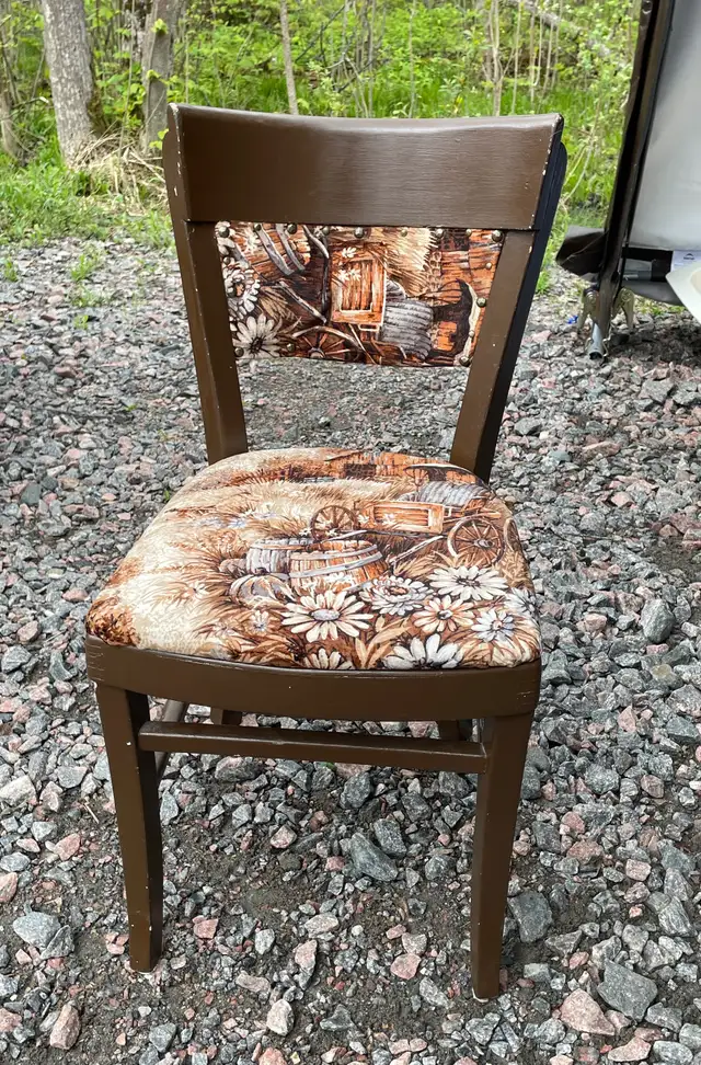 Vintage Dining Room Chair Bedroom Used Furniture