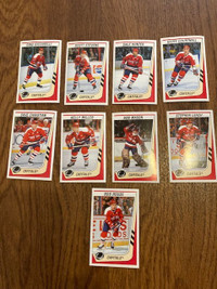 Lot of 9 1989-90 Panini Washington Capitals hockey stickers