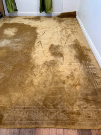 Large 277/370cm YELLOW CLEAN velvet rug