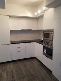 1 Bed and 1 Den Condo at Bay and Wellesey for Rent