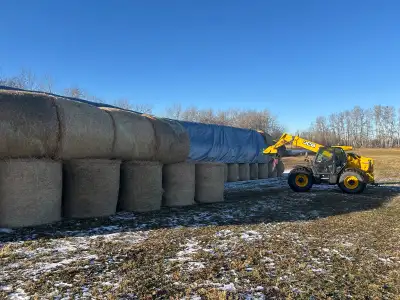 Hay for sale , View more