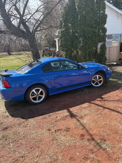 Nice shape. Bone stock. Never been molested in any way. Bought last year to use as a cheap on fuel s...