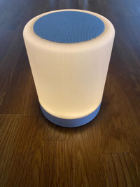 Table lamp speaker wireless portable