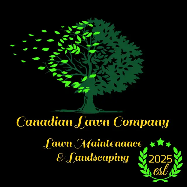 Lawn maintenance63235386012033120