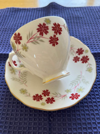 Royal Vale teacup