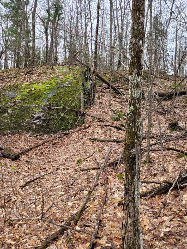 Terrain à vendre, 10 000/acre Land for Sale Gatineau Kijiji