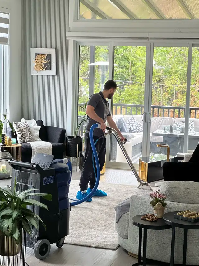 carpet and sofa and mattress cleaning 62865710835971122
