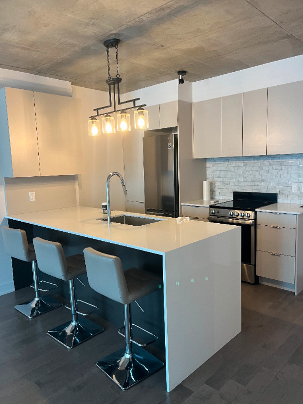 TURN KEY MODERN CONDO – 6 Appliances,  Furnished dans Locations longue durée  à Ville de Montréal