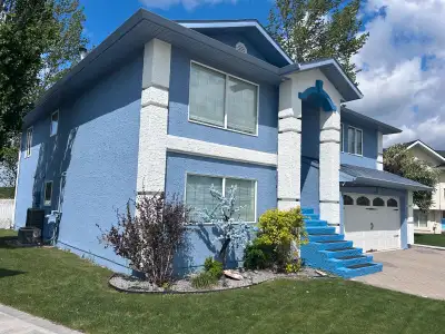 Painting Services , View more