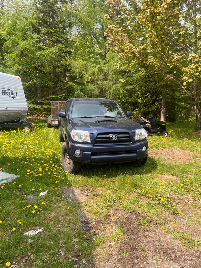 2007 Tacoma in Cars & Trucks in Moncton - Image 4