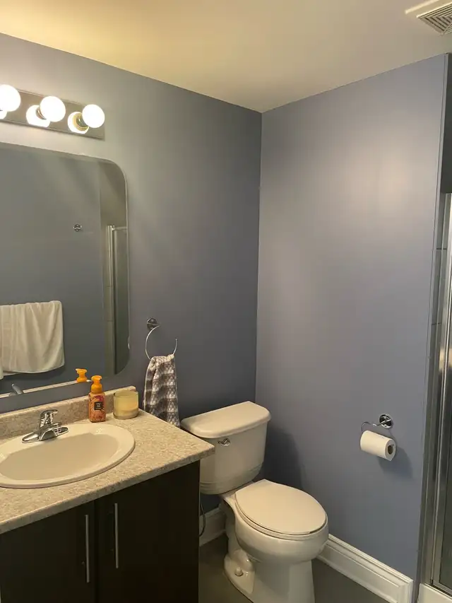 Large finished basement with full bathroom for rent  in Room Rentals & Roommates in Ottawa - Image 9
