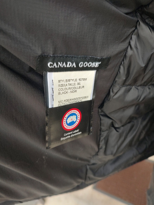 Kijiji windsor 2025 canada goose