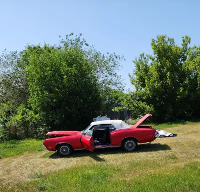 Mercury Couger 1969 Convertible Red with white top. Automatic. 351 Windsor. B/N Cooper Cobra tires f...