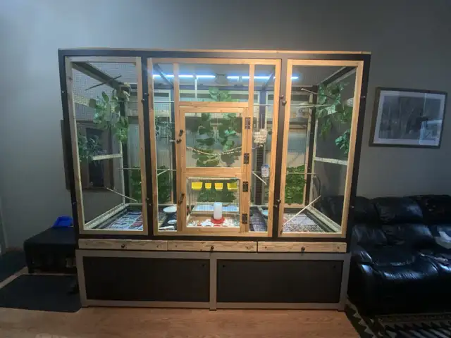 Large Aviary, Birds and Supplies! in Birds for Rehoming in Lethbridge - Image 3