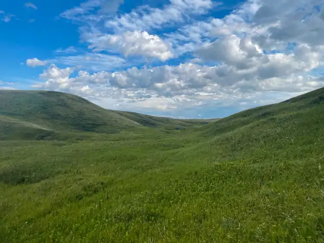 Acreage For Sale63660966546819123