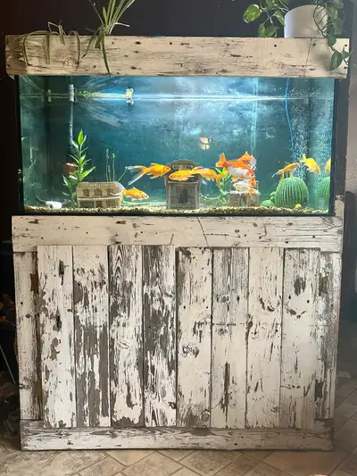 90 gallon fish tank, View more