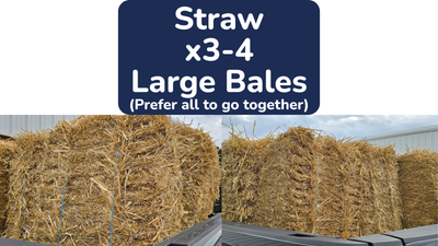 FREE Large Straw Bales, View more