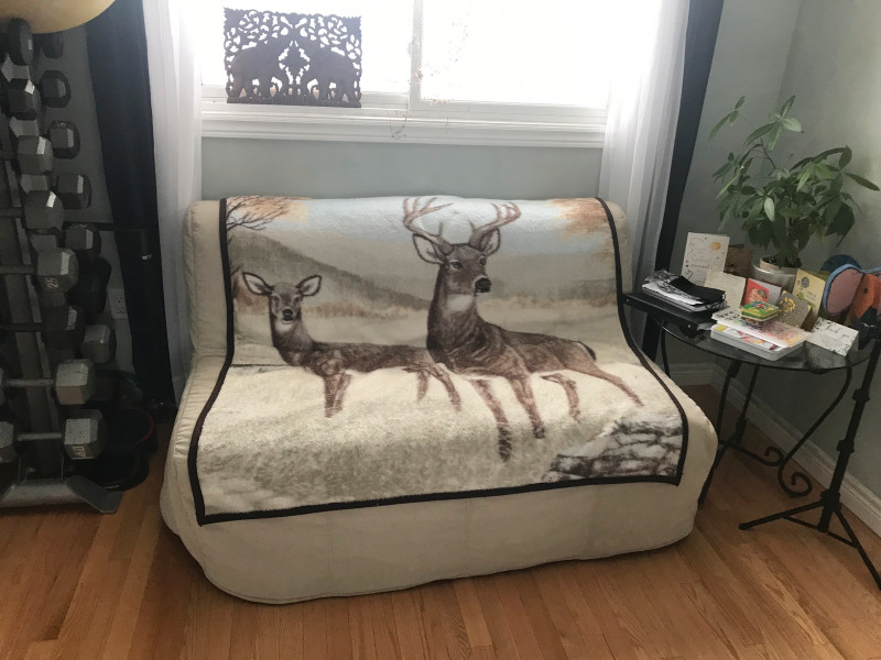 IKEA pullout double sofa bed Couches & Futons Peterborough Kijiji
