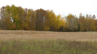 Five Acre Lots for Sale, Athabasca