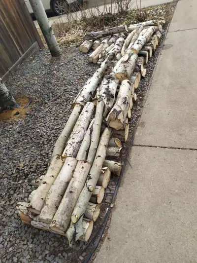 Free Fire wood