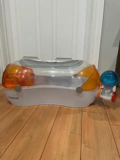 Cage pour hamster, autre cage, litière; voir photos in Accessories in St-Georges-de-Beauce - Image 3