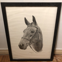Large Signed Numbered AP Horse Pony Print Abbozzo Gallery
