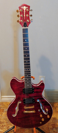 ES-335 Style Electric Guitar