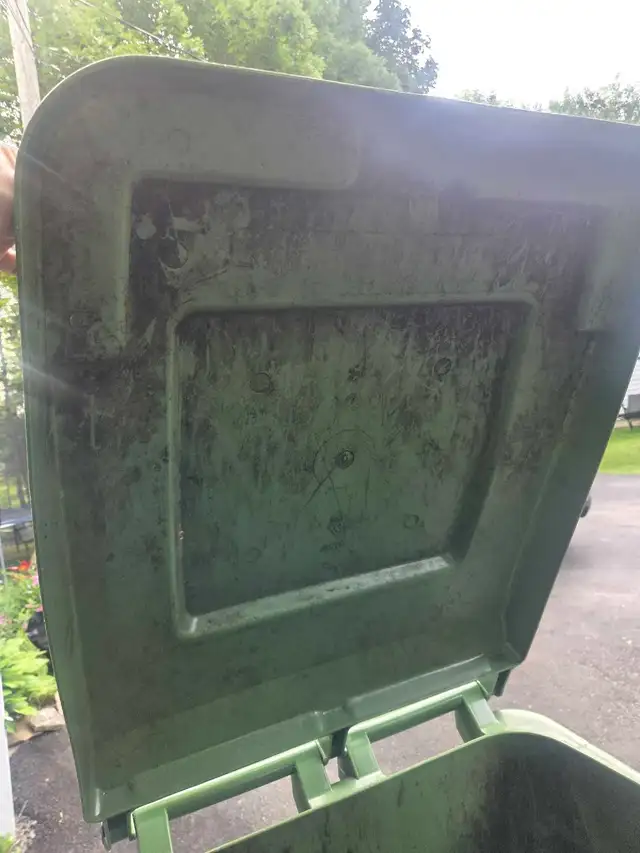 Garbage Cleaning571054948741304323