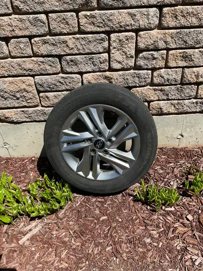 Rims & 4 Rims and all season tires 205155. R16 kumho Solus TA 31 good for Hyundai Elantra or Kia