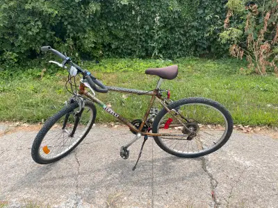26 pounce Miele Bike, View more