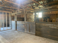 Horse stalls 